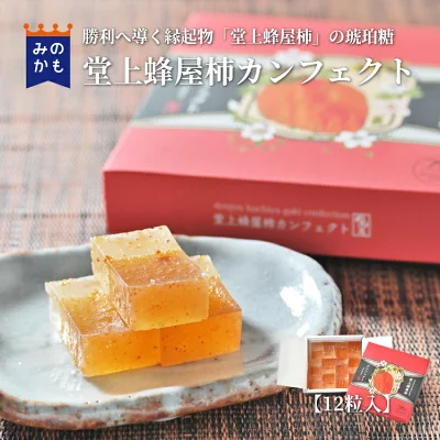 川登屋　堂上蜂屋柿カンフェクト