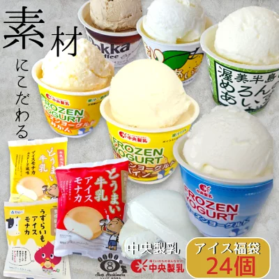 中央製乳　アイスクリーム詰め合わせ