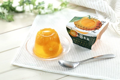 小南農園　田村みかんフルーツまるごとゼリー
