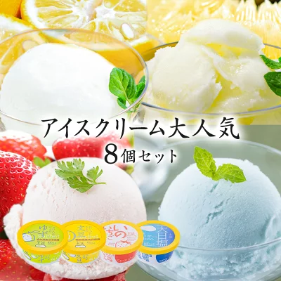 高知アイス　アイスセット